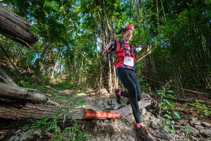 BIB: 
                            <button type="button" onclick="openModal(19387106)" class="btn btn-primary btn-sm float-right btn-popup" data-toggle="modal" data-target=".modal-high-quality">
                        <i class="fas fa-shopping-cart"></i> Add to Cart
                    </button>
                                            <button type="button" onclick="isThisMe(19387106, true)" class="btn btn-success btn-sm float-right btn-popup btn-isme hidden" data-toggle="tooltip" data-placement="bottom" title="นี่คือรูปของคุณใช่ไหม คลิกที่นี่เพื่อเอาเข้าอัลบั้ม">
                        <i class="fas fa-plus"></i> Add to album
                    </button>
                    <button type="button" onclick="isThisMe(19387106, false)" class="btn btn-warning btn-sm float-right btn-popup btn-isnotme hidden">
                        <i class="fas fa-ban"></i> Remove from album
                    </button>